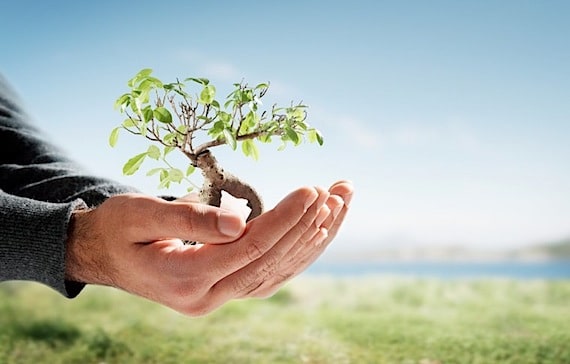 A Man Holding a Full Size Tree in the Palm of His Hands - Photo courtesy of ©iStockphoto.com/panorios, Image #4633733